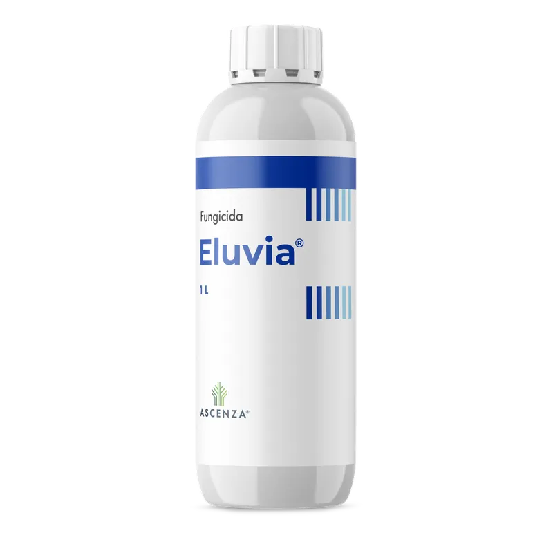 Imagen oficial de ELUVIA