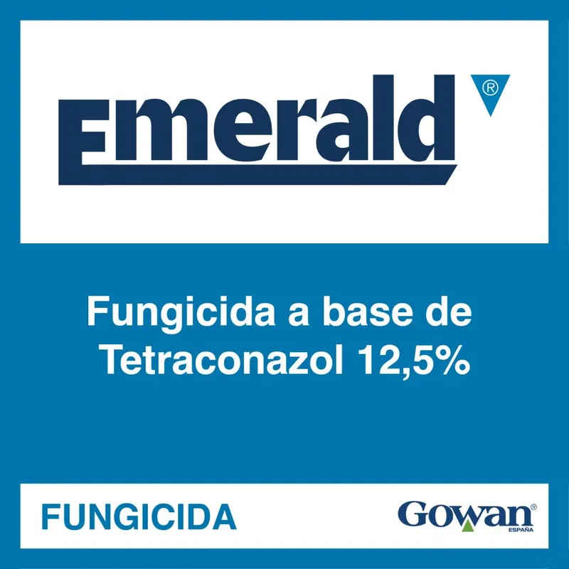 Imagen oficial de EMERALD