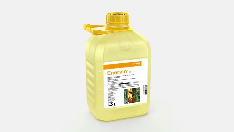 Imagen oficial de ENERVIN SC