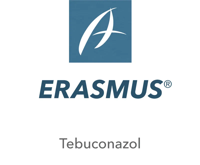 Imagen oficial de ERASMUS