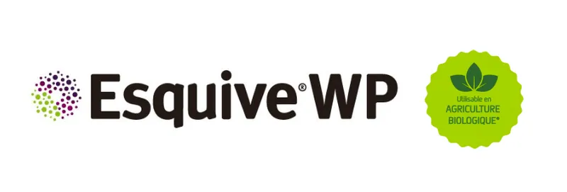 Imagen oficial de ESQUIVE WP