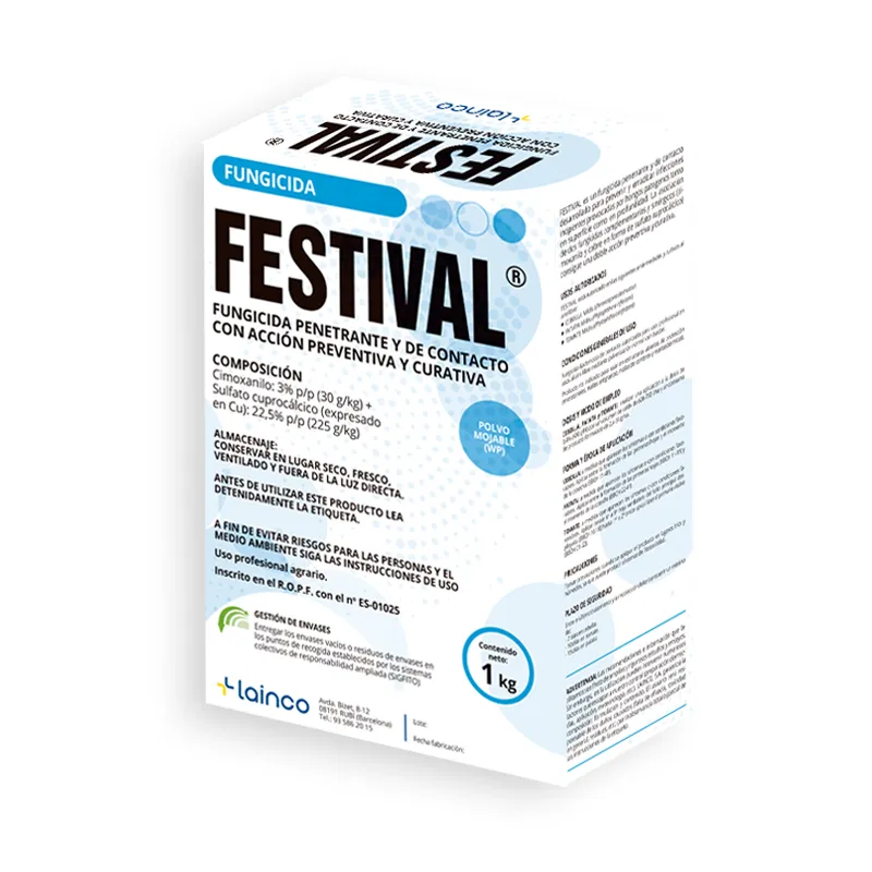 Imagen oficial de FESTIVAL