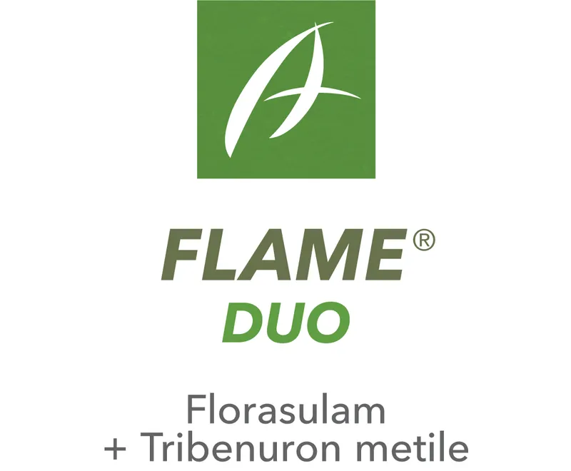 Imagen oficial de FLAME DUO