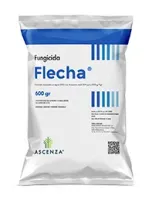 Imagen oficial de FLECHA