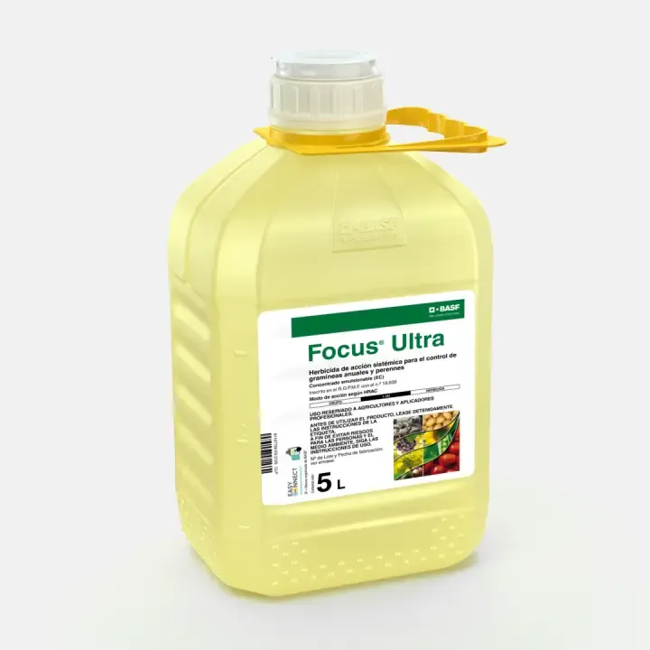 Imagen oficial de FOCUS ULTRA