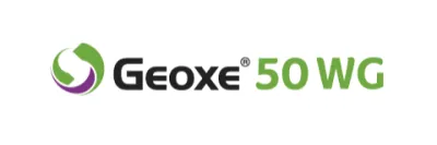 Imagen oficial de GEOXE 50 WG