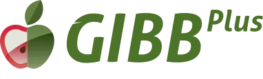 Imagen oficial de GIBB PLUS