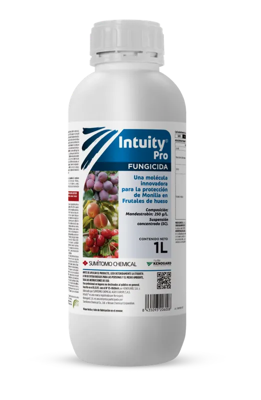 Imagen oficial de INTUITY PRO