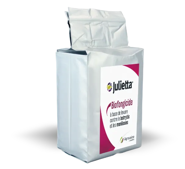 Imagen oficial de JULIETTA