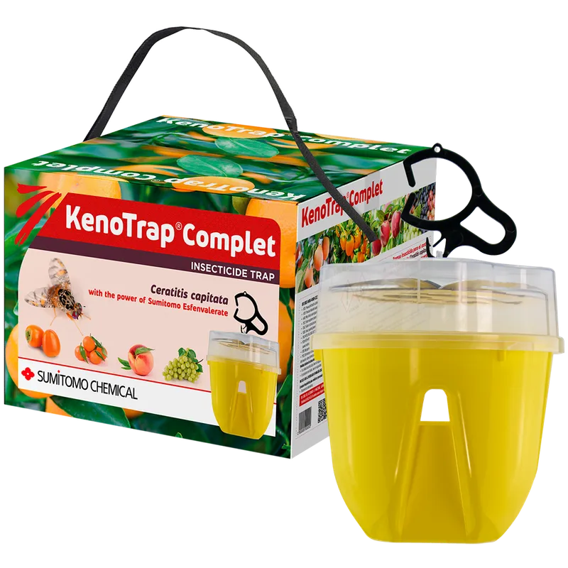 Imagen oficial de KENOTRAP COMPLET