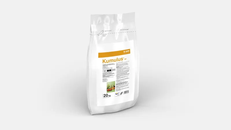 Imagen oficial de KUMULUS DF