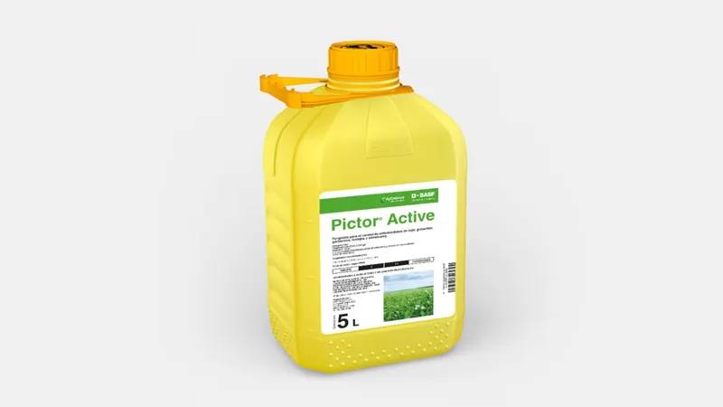 Imagen oficial de PICTOR ACTIVE