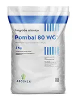 Imagen oficial de POMBAL