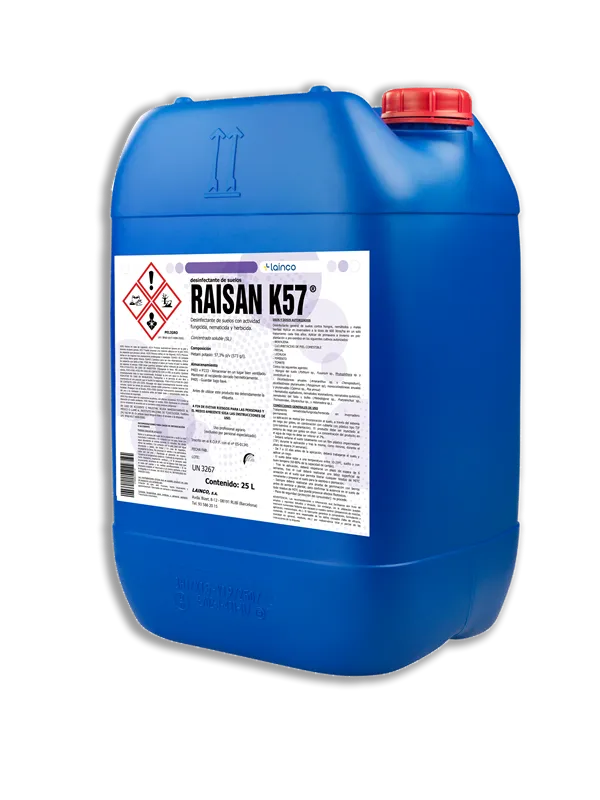 Imagen oficial de RAISAN K57