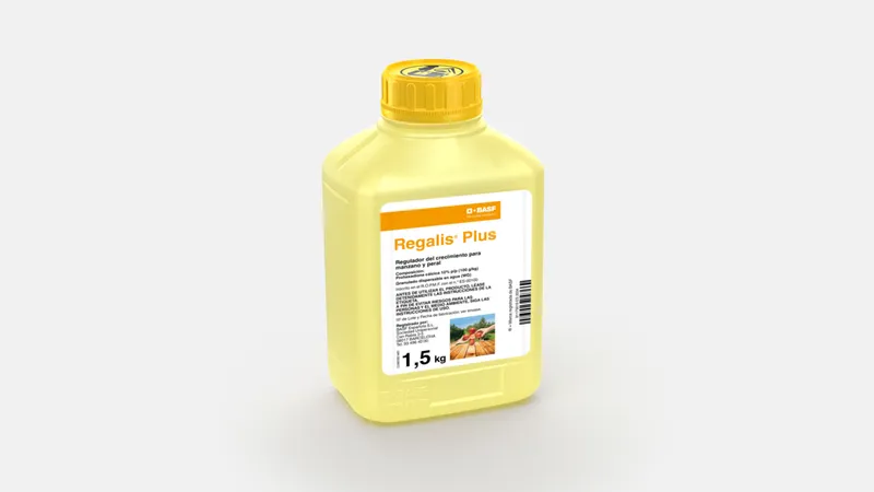Imagen oficial de REGALIS PLUS