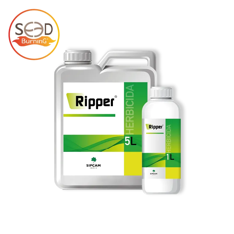Imagen oficial de RIPPER