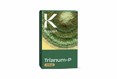 Imagen oficial de TRIANUM P