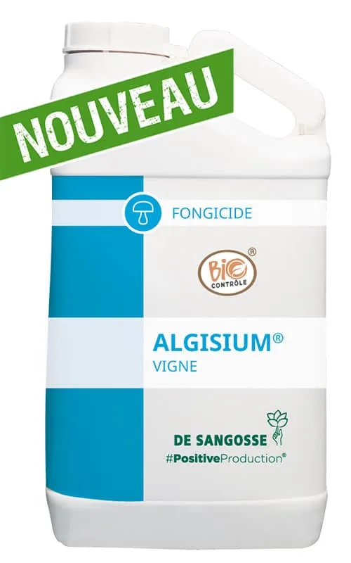 Imagen oficial de ALGISIUM